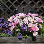 酒店 拉瓦乐酒店