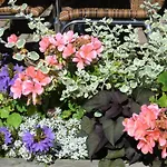 酒店 拉瓦乐酒店