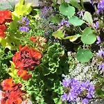 酒店 拉瓦乐酒店 2*