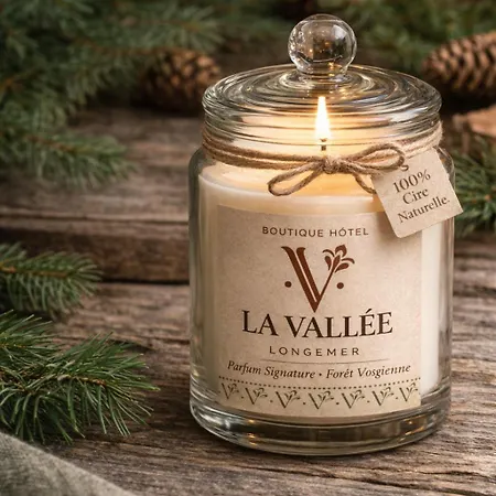 Otel La Vallee Longemer Boutique