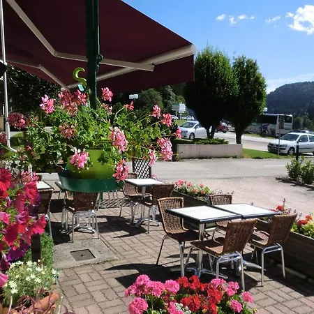 Hotel La Vallee Xonrupt-Longemer