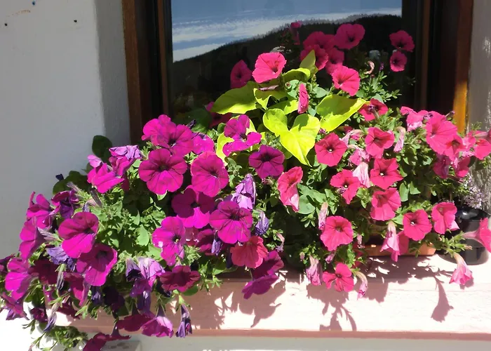 La Vallee Xonrupt-Longemer