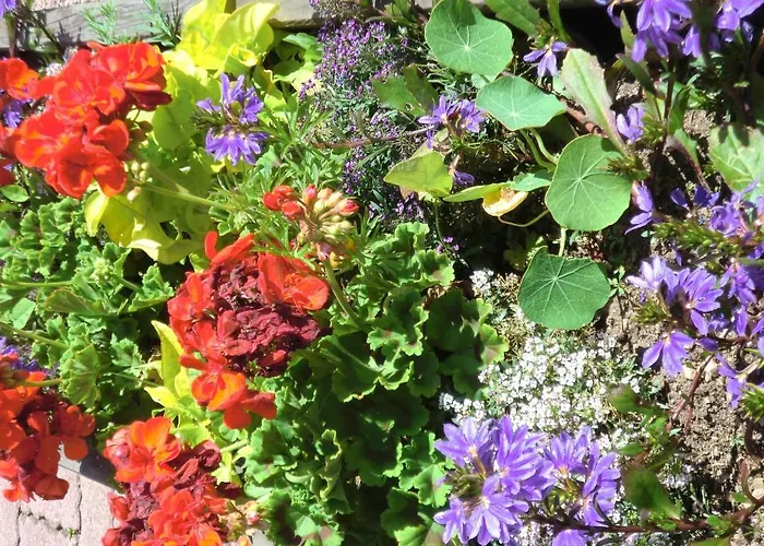 Szálloda La Vallee 2*