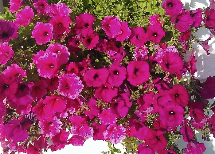 Szálloda La Vallee 2*